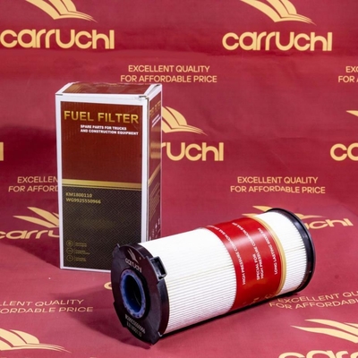Un buon prezzo. Wg9925550966 Filtro del carburante per motore Anticorrosione per Sinotruk HOWO Sitrak T7h T5g C7 in linea