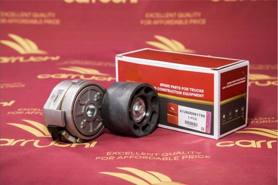 Good price 612600061755 612600061290 4110000001352 shacman weichai WP10 wp 12 engine lgmg mt86 Engine TENSIONER online