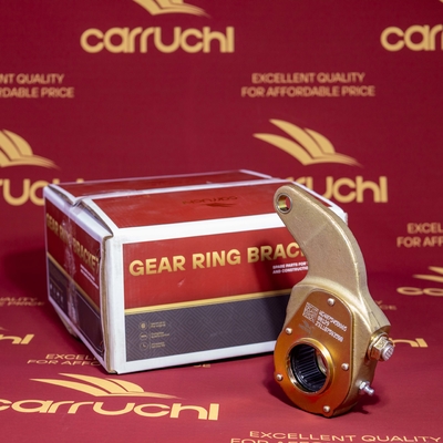 Giá tốt. Carruchi WG4075450065 Phụ tùng phụ tùng xe tải để sửa chữa/thay đổi trực tuyến