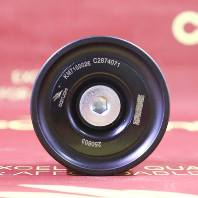 Good price C2874071  for dongfeng dcec ISZ13L  engine  Spare Parts TENSIONER online